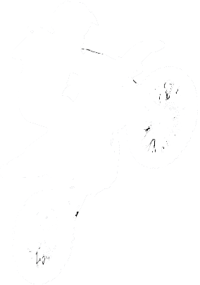 Moto logo